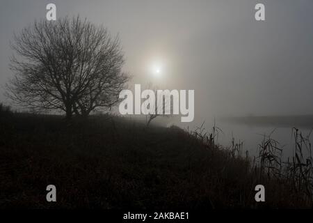 Foggy landscape, Oberweser, Wesertal, Weser Uplands, Weserbergland, Hesse, Germany Stock Photo