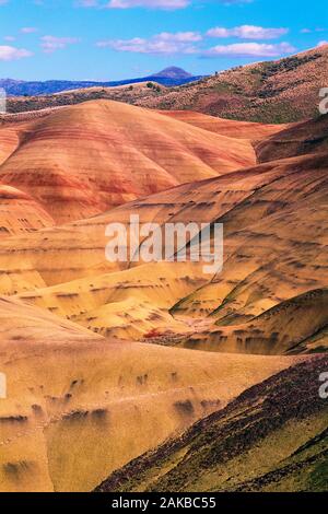 Landscape with hills in desert, John Day Fossil Beds, Painted Hills Unit, Oregon, USA Stock Photo