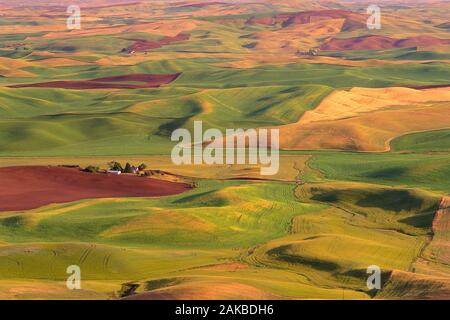 Landscape with fields on rolling hills, Palouse, Washington State, USA Stock Photo