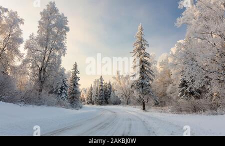 Hoarfrost covered  trees line snow covered road in Southcentral Alaska. Winter. Stock Photo