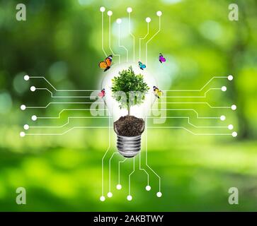 Bulb with a tree on a computer circuit board environment concept. Stock Photo