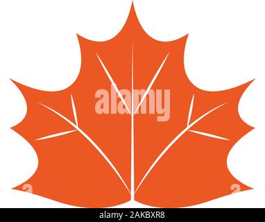 Isolated autumn leaf icon Stock Vector