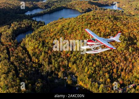 Canada, Province of Quebec, Mauricie region, flight with Hydravion Aventure company in the Indian summer period, Cessna 206 over the boreal forest (aerial view) Stock Photo