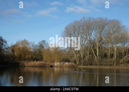 Waterscapes around a Man made lake in Hertfordshire for fishing and other water sports and habitat for much wildlife native to the UK Stock Photo