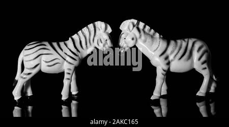 Two full body zebra figurines face to face on glossy black background with reflections Stock Photo