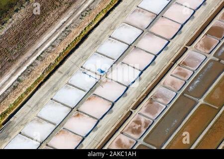 France, Charente Maritime, Ile de Re, Ars en Re, salt worker collecting the salt flower in the salt marshes (aerial view) Stock Photo