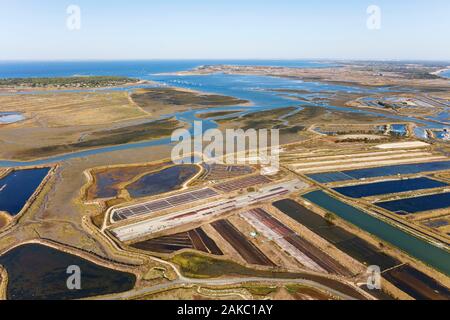 France, Charente Maritime, Ile de Re, Ars en Re, salt marshes (aerial view) Stock Photo