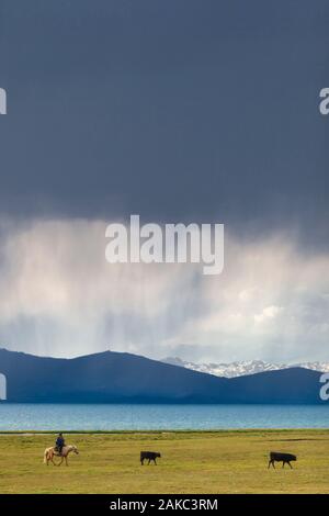 Kyrgyzstan, Naryn province, Son-Kol lake, altitude 3000m, storm over the lake and rider Stock Photo