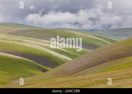 Kyrgyzstan, Osh province, Sary-Moghul, green hills and stormy sky Stock Photo