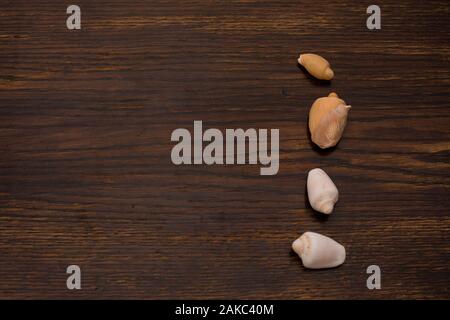 close up of various seashells on the background of an old wooden table Stock Photo
