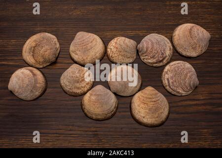 close up of various seashells on the background of an old wooden table Stock Photo