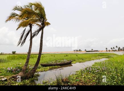 Benin, Grand Popo, view of mangrove and beach Stock Photo