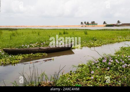 Benin, Grand Popo, view of mangrove and beach Stock Photo