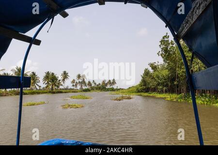 Benin, Grand Popo, view of mangrove forest from the boat Stock Photo