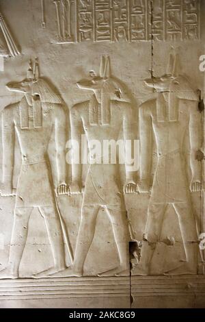 Egypt, Upper Egypt, Nile Valley, Dendera, bas relief depicting Anubis, the funerary god of ancient Egypt, on a wall of Athor's temple Stock Photo