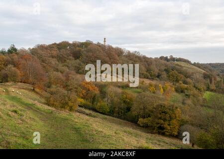 Landscape photo of the Admiral Hood Monument near Butleigh in Somerset. Stock Photo