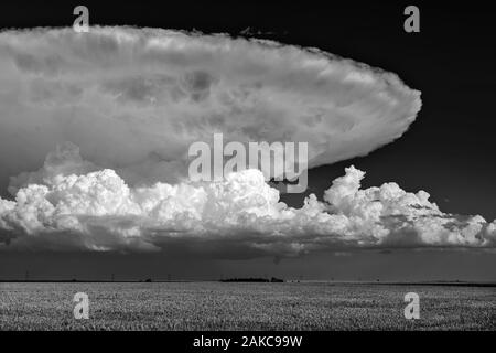 Scenic Great Plains landscape with a thunderstorm cumulonimbus cloud anvil in the sky over a field near Goodland, Kansas Stock Photo