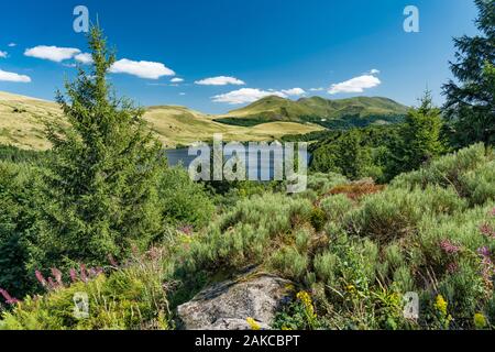 France, Auvergne, Puy de Dome), Regional Natural Park of Auvergne Volcanoes, Mont Dore, Col de Guery, Lake Guery from the trail Stock Photo