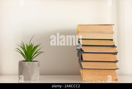 Potted house plant cactus succulent in gray pots and stack of books on white shelf against white wall. Cozy home modern decor in minimalistic scandina Stock Photo
