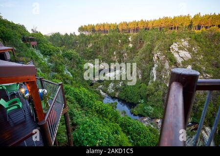 Nature in Tsitsicama western cape South Africa Stock Photo