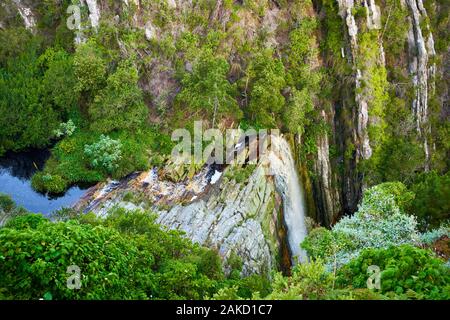 Nature in Tsitsicama western cape South Africa Stock Photo