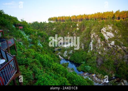 Nature in Tsitsicama western cape South Africa Stock Photo