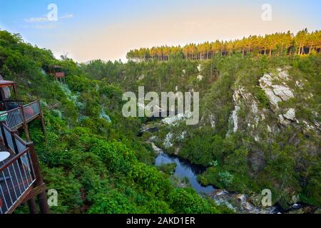 Nature in Tsitsicama western cape South Africa Stock Photo