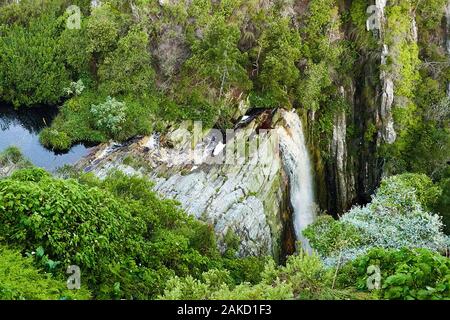 Nature in Tsitsicama western cape South Africa Stock Photo