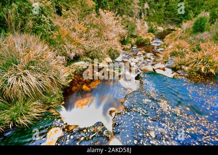 Nature in Tsitsicama South Africa Stock Photo