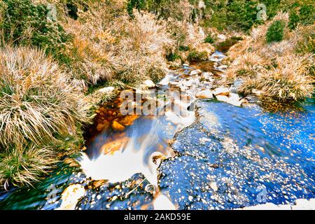 Nature in Tsitsicama South Africa Stock Photo