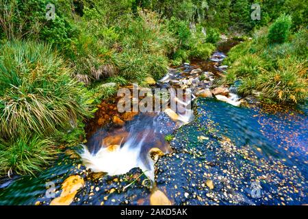 Nature in Tsitsicama South Africa Stock Photo