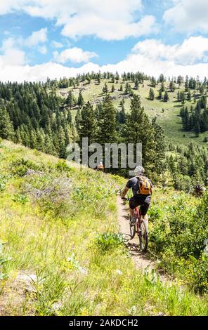 Two middle aged men out riding mountain bikes on Buck Mountain outside of Winthrop, Washington, USA. Stock Photo