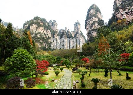 Zhangjiajie national forest park in Hunan, China. Stock Photo