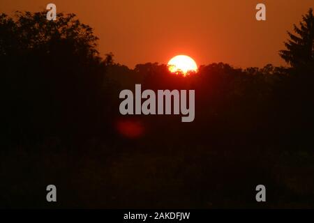 Silhouettes of trees seen over the setting sun. Snagov, Romania. Stock Photo