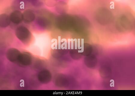 many blured bacteria close up under the microscope. Abstract Stock Photo