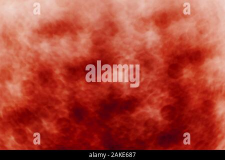 many blured bacteria close up under the microscope. Abstract Stock ...