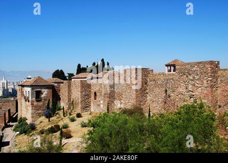 Upper walled precinct of the citadel viewed from the South at Malaga castle, Malaga, Malaga Province, Andalucia, Spain. Stock Photo