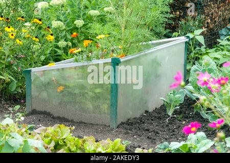 Hotbed in late summer,  cold frame Stock Photo