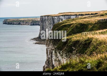 cliff tops North Yorkshire Ray Boswell Stock Photo