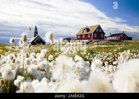 A church in Ilulissat on greenland with Cotton grass in the foreground Stock Photo