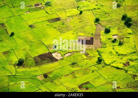 Looking down from the air onto rice paddies and Maize crops in the Shire Valley, Malawi, Africa. Stock Photo