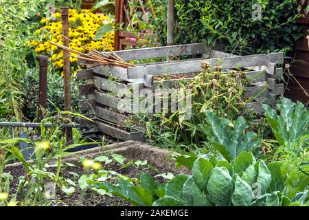 Wooden composter bin in vegetable garden compost Allotment plot plants composting allotment scene Plants Waste Humus Ecological Organic Compost Stock Photo