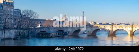 Paris, the Pont-Neuf on the Seine, typical panorama of the french capital Stock Photo