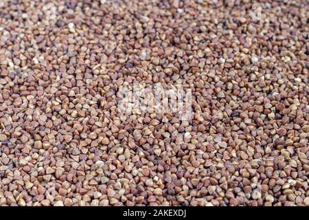 Buckwheat groats are scattered on a light background. Dark texture and background. Copy space. Stock Photo
