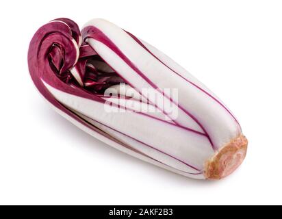 Radicchio, red Treviso chicory isolated on white Stock Photo