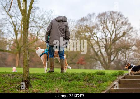 Northampton, UK, Weather, 9th January 2020, A dull cloudy day for people out  dog walking in Abington Park this morning. Credit: Keith J Smith./Alamy Live News Stock Photo