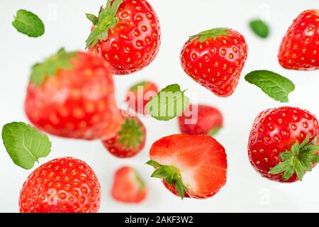 Falling berries strawberry on white background. Flying berries pattern. Background of fresh strawberry on white background. Creative food concept Stock Photo