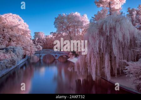 UK, England, Cambridgeshire, Cambridge, The Backs, Clare and King's College Bridges over River Cam Stock Photo