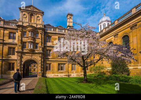 UK, England, Cambridgeshire, Cambridge, Clare College Stock Photo