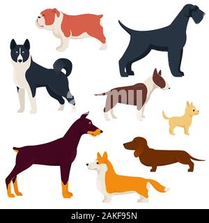 Set of different breeds dogs Stock Vector
